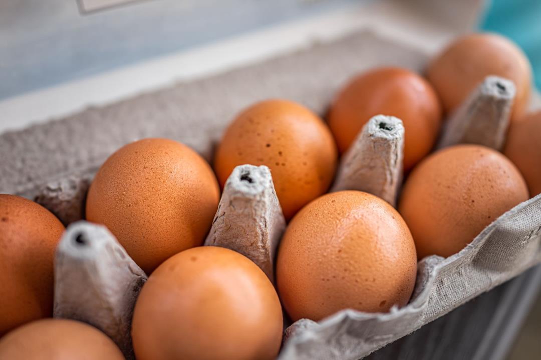Millions of Eggs Recalled Amid Salmonella Outbreak Across 9 States