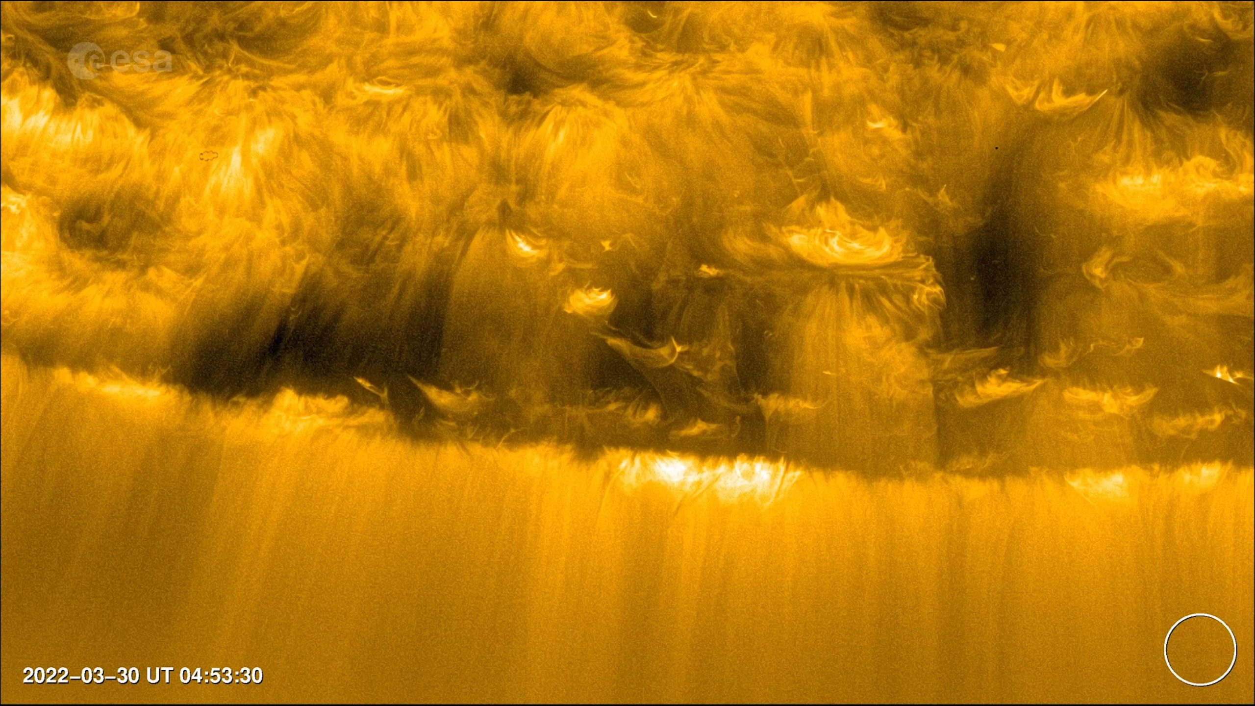 Featured image for Solar Orbiter Uncovers Tiny Jets Fueling Solar Wind