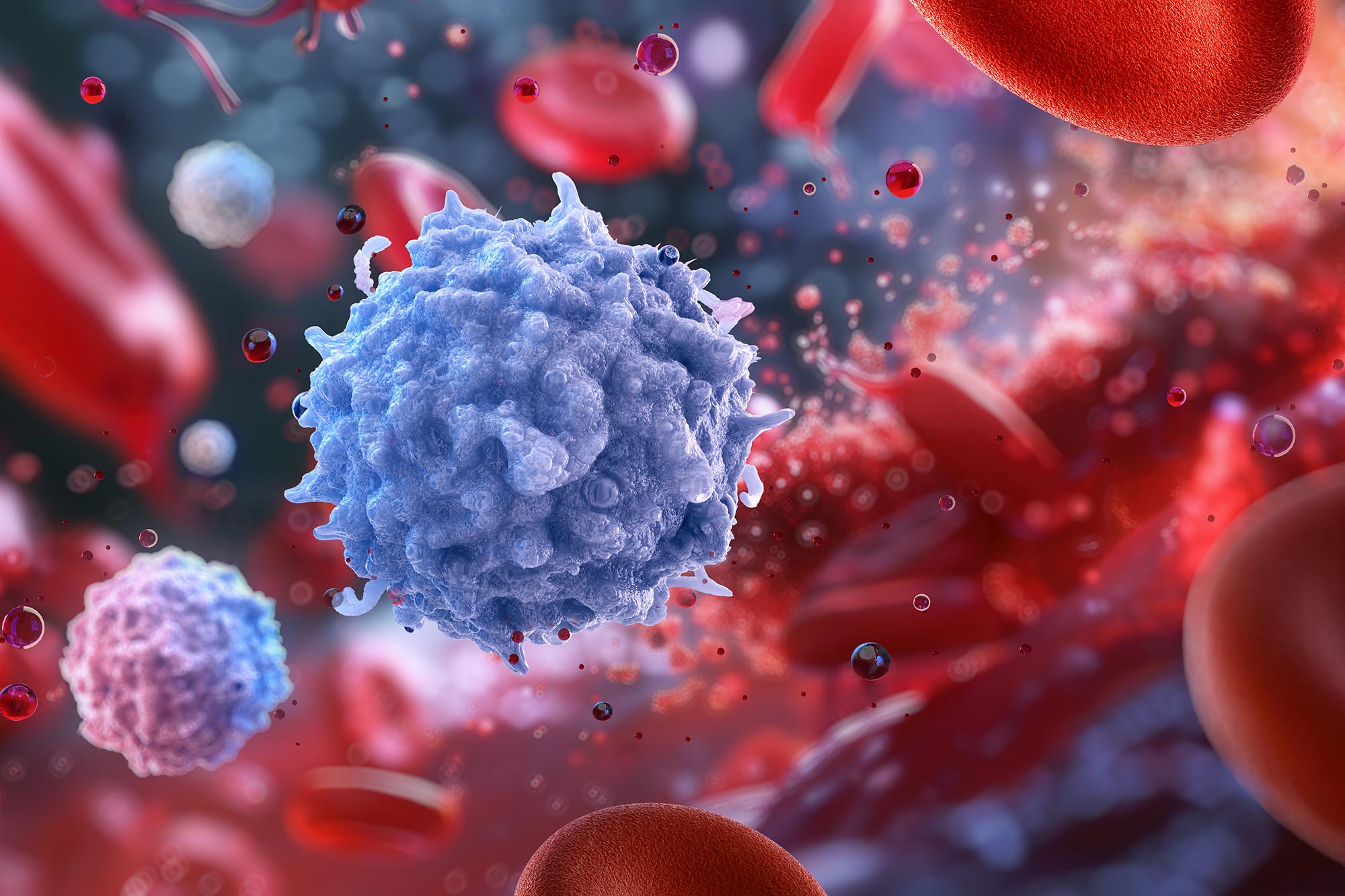 Featured image for Aging Immune Cells Alter DNA to Maintain Inflammation