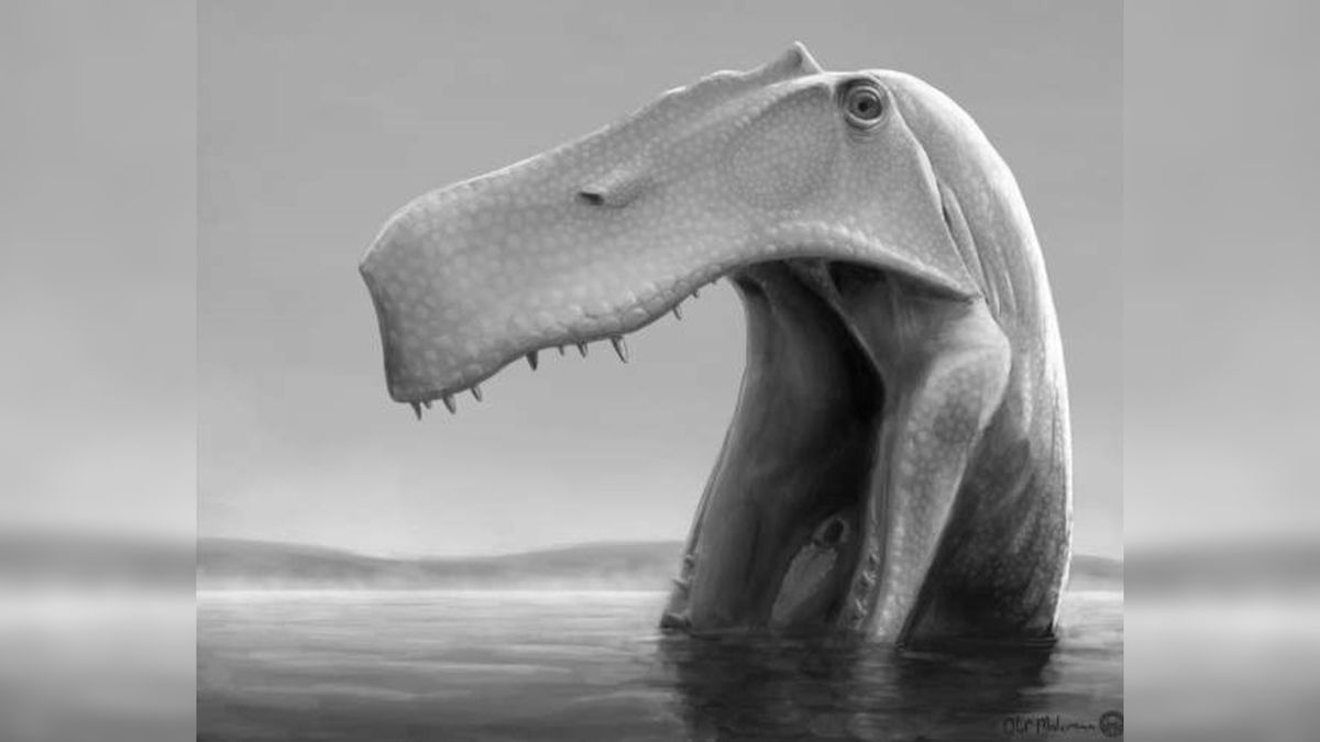 Controversial Study Reveals Brazilian Dinosaur's Unique Feeding Habits.