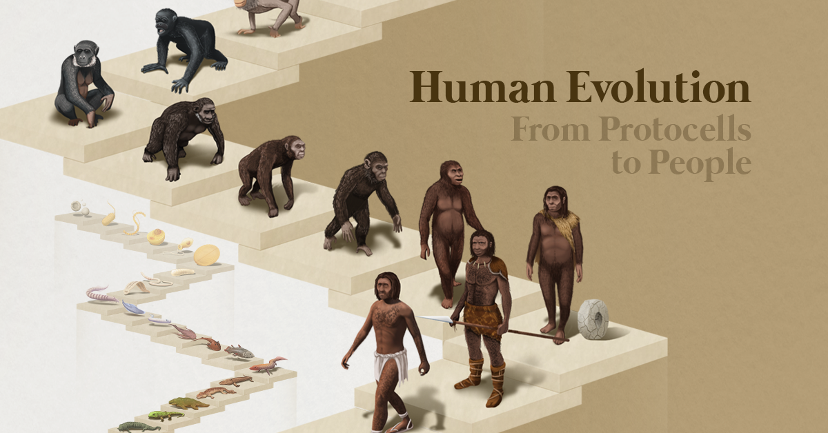 Featured image for The Evolution of Humans: A 4 Billion Year Journey in One Visualization
