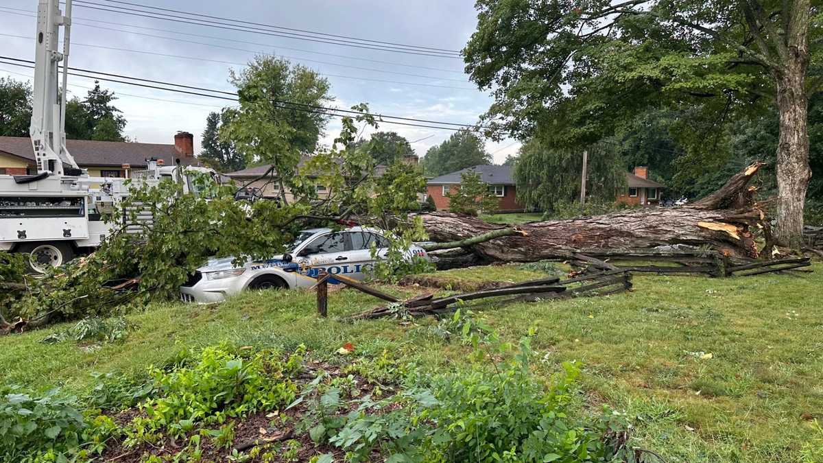 Featured image for Devastating Storms Leave Louisville's Trees in Ruins: A Photo Journey