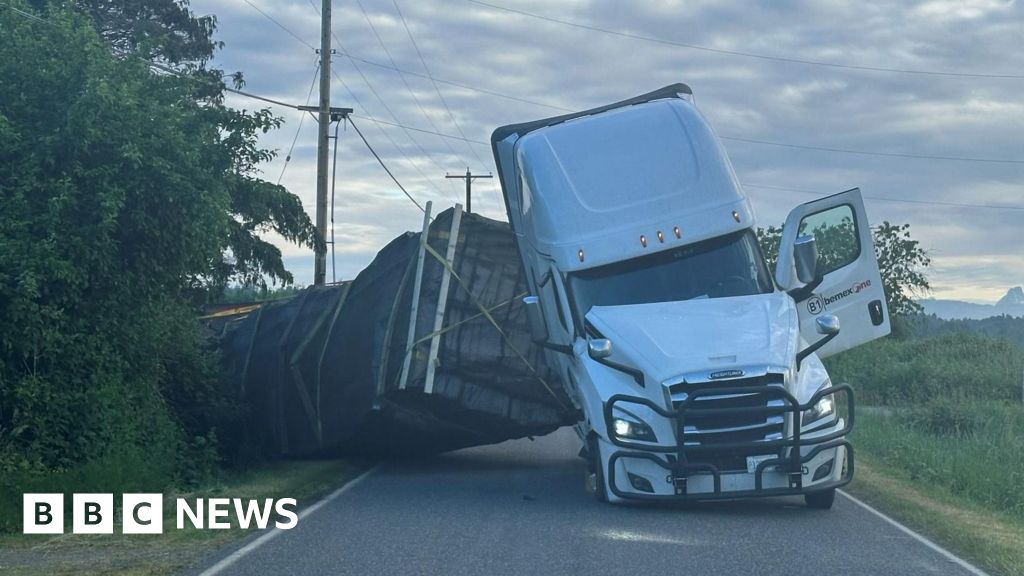 Featured image for 250 Million Bees Escape After Truck Crash in Washington
