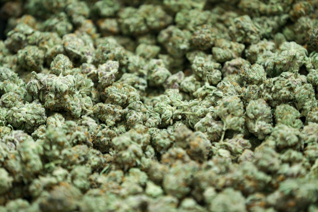 Daily Marijuana Use Surpasses Alcohol in the U.S., Study Finds