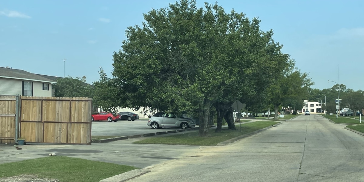 Multiple Shootings and Car Crash Leave Baton Rouge Officials Busy Overnight