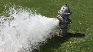 Featured image for MTG Standard Format Sees Largest Ban Wave Yet, Shaking Up the Meta