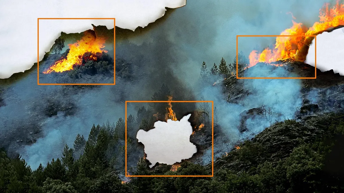 "Startups Seek Innovative Tech to Tackle Wildfires, But Insurance Companies Remain Skeptical"