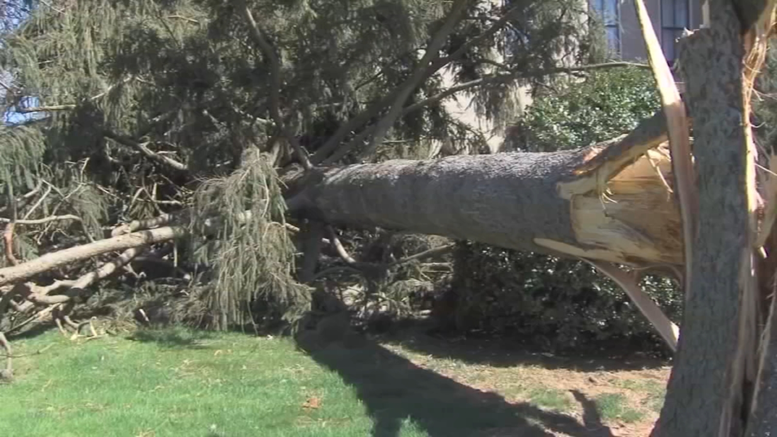 Recent Tornado Outbreaks in Northeastern US: Updates and Recovery Efforts
