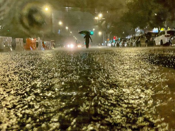 Featured image for Urban Centers Lead the Charge in Addressing Climate Change, Experts Assert