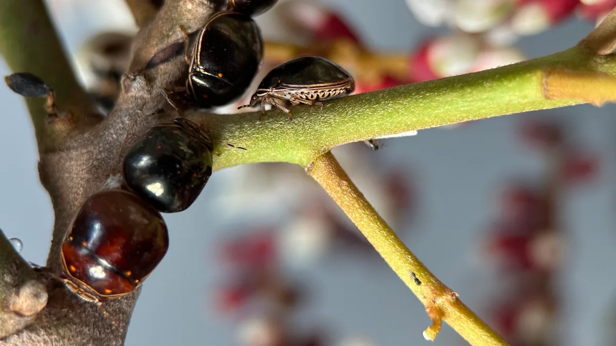 Featured image for Scientists Warn of Behavioral Shift in Harmful Insects