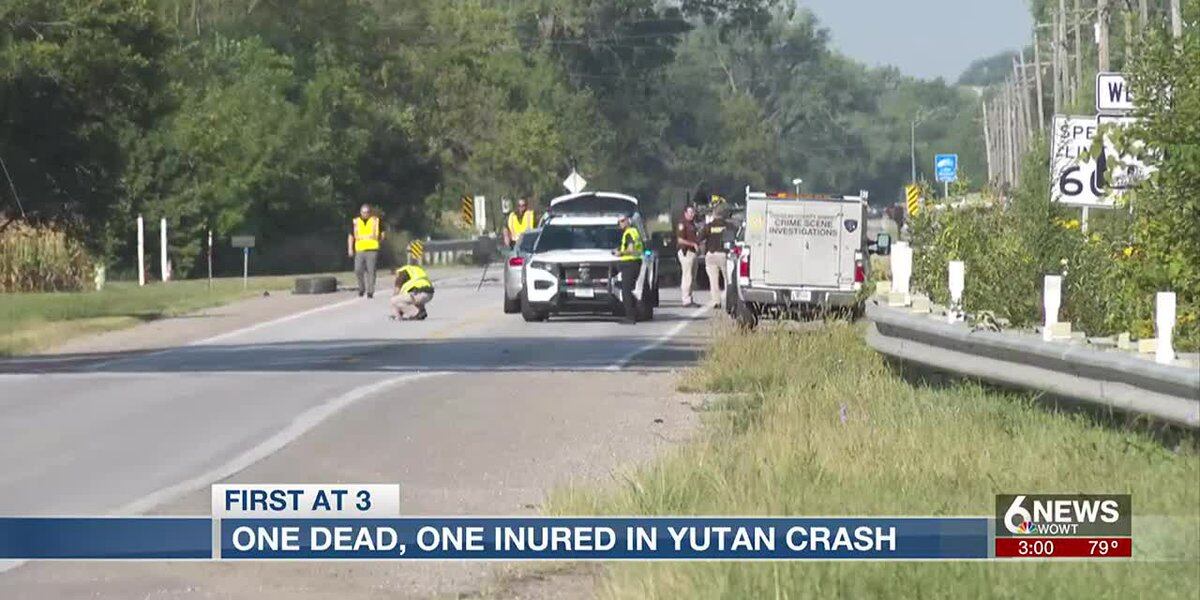 Featured image for Fatal Crashes in Douglas County: Victim Identified, Concert Announced, and Cat Rescued