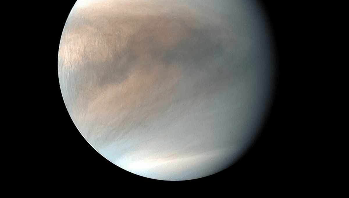 Unexplained Venusian Flashes Puzzle Scientists