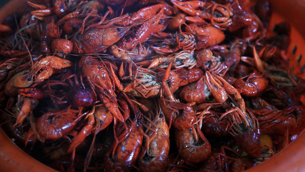 Featured image for "Crawfish Crisis: Drought and Cold Weather Spell Trouble for Harvest"