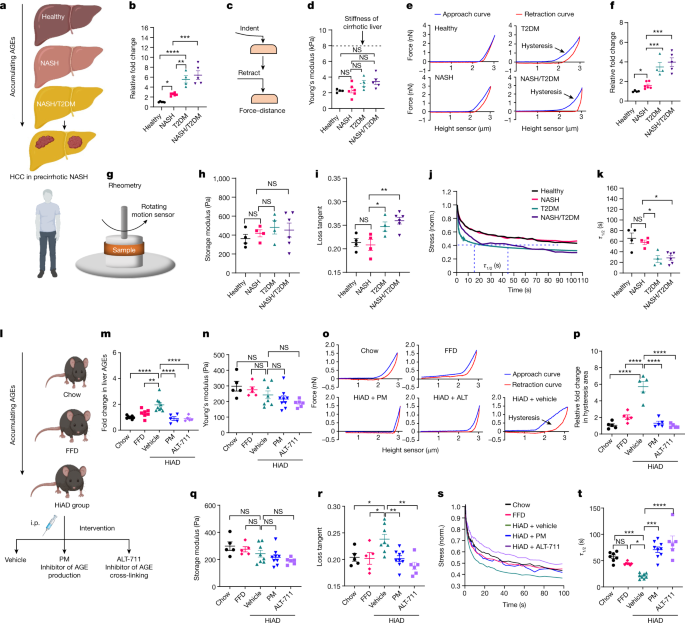 Featured image for "Matrix Viscoelasticity and Liver Cancer Progression"