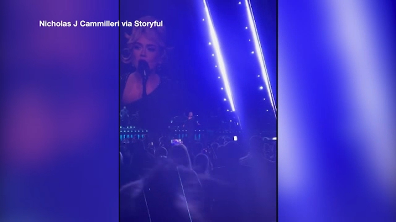 Adele's Vegas Show Interrupted as She Protects Fan from Security