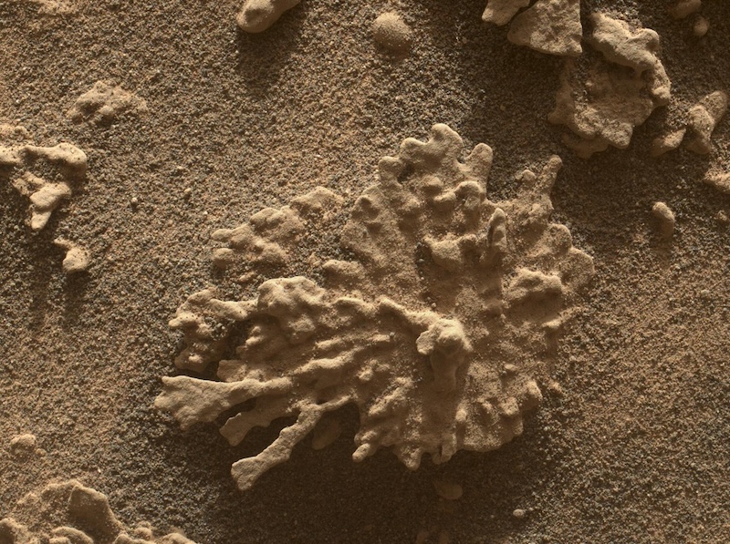 Featured image for NASA's Curiosity Discovers Unique Rocks and Ancient Cosmos on Mars