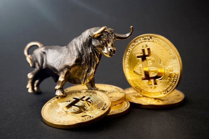 Bitcoin's Buy Signal Sparks Speculation of Record-Breaking Rally