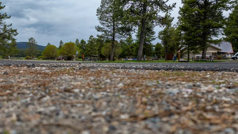 Smartwatch Guides Rescue to Fatal Plane Crash Near Yellowstone