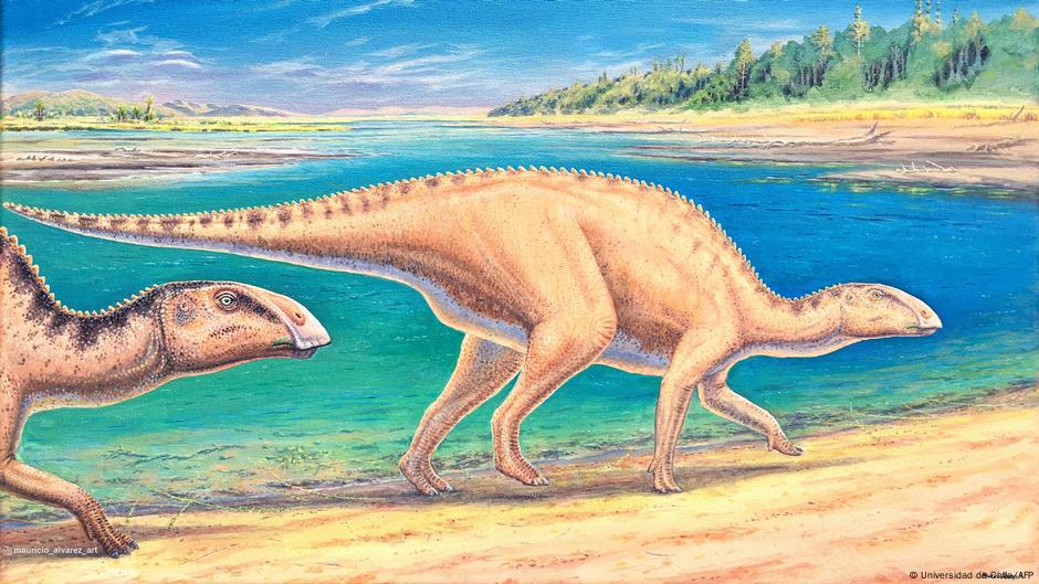 Featured image for New species of duck-billed dinosaur discovered in Chile