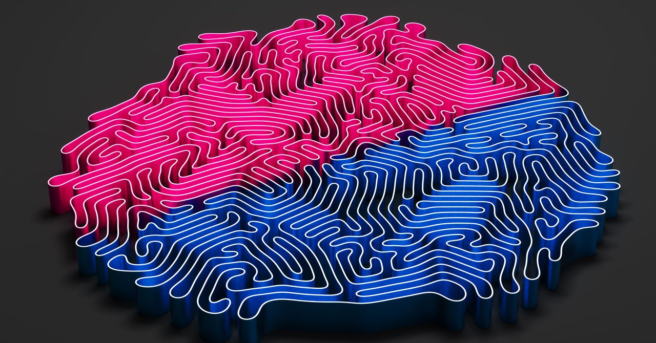 Featured image for Boosting Brain Power: Hormone Injection Reverses Age-Related Memory Decline in Monkeys