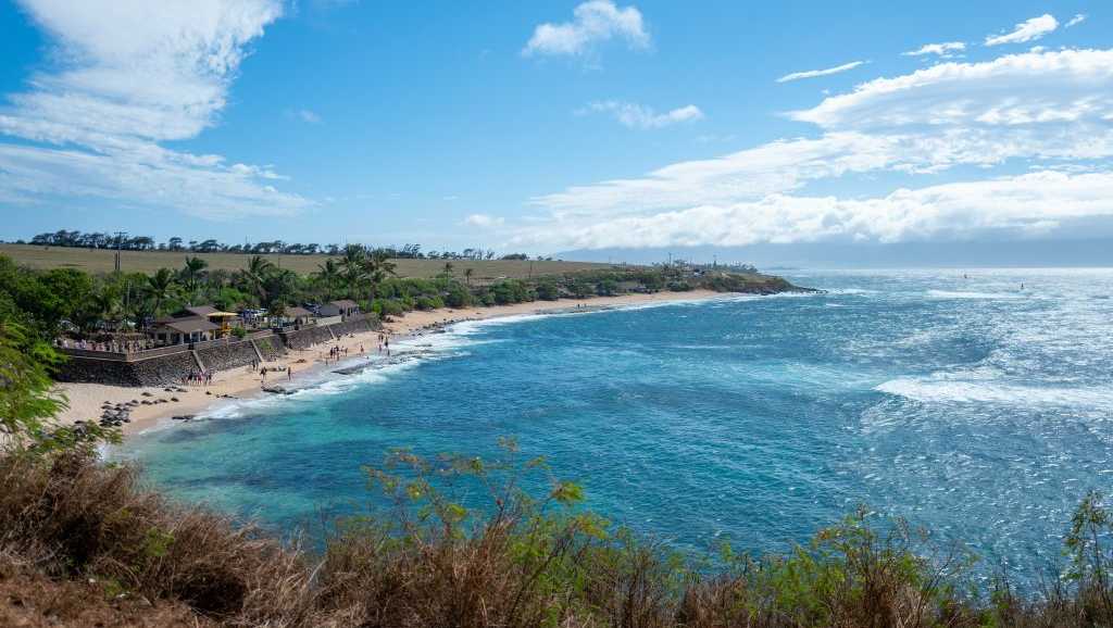 Featured image for "39-Year-Old Maui Surfer Fatally Injured in Shark Encounter"