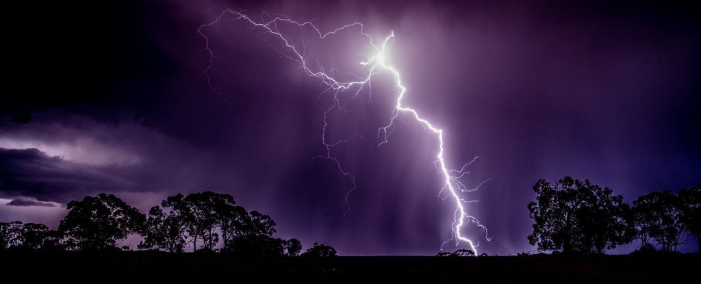 Featured image for The Hidden Toll of Lightning on Global Forests Amid Climate Change