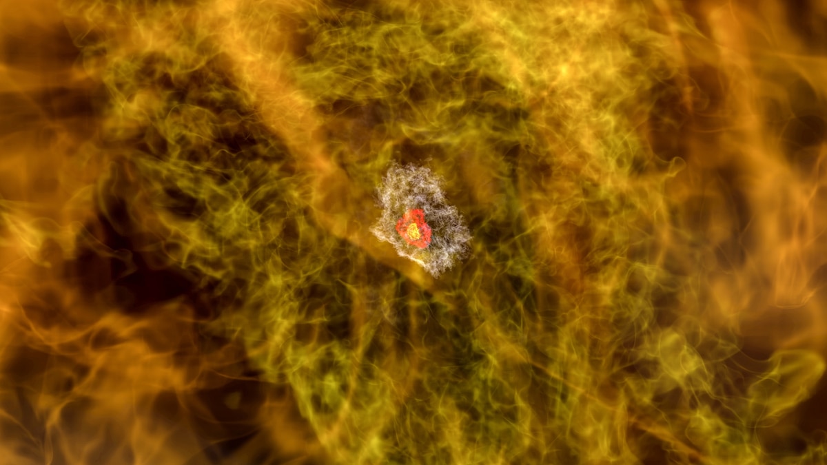 Featured image for The Spectacular Birth of the First Stars