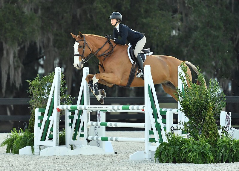 Featured image for Tragic Death of Rising Teen Equestrian Star in Florida Competition