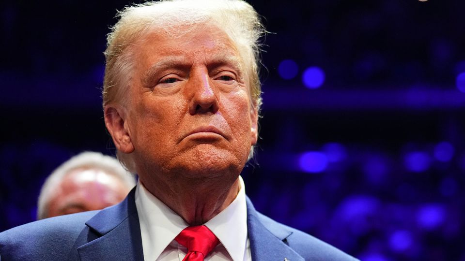 Europe's Far Right Sees Temporary Boost from Trump's Victory