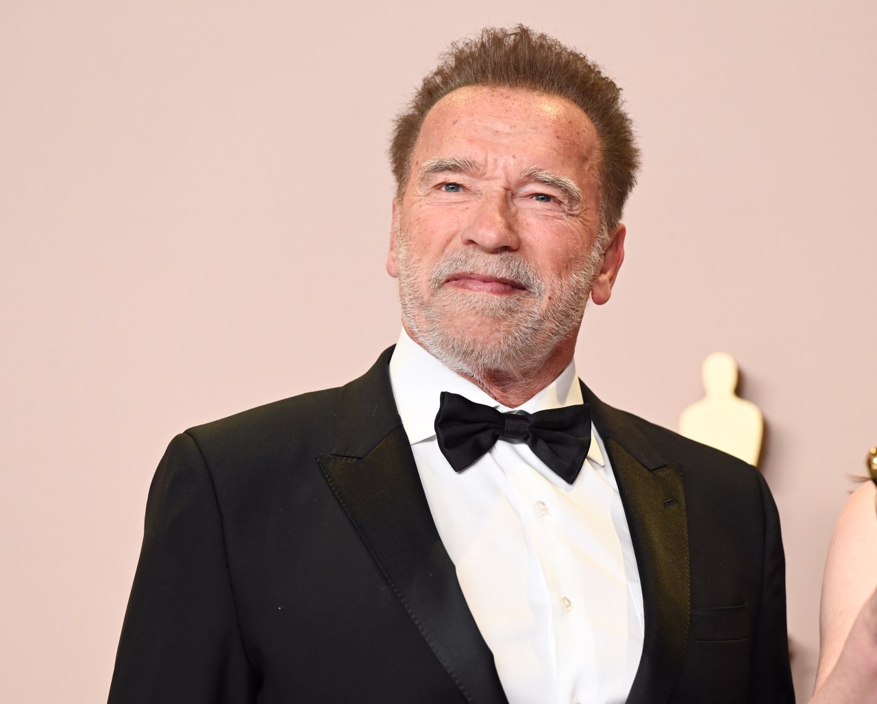 Featured image for Arnold Schwarzenegger Receives Pacemaker and Leaves Hospital