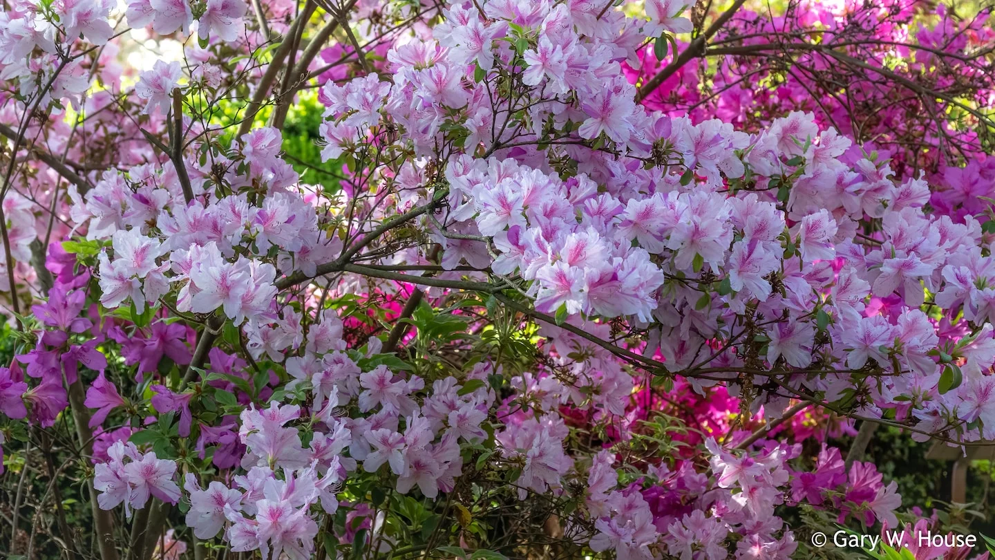 Rainy and Cool Weather to Persist in Northeastern US