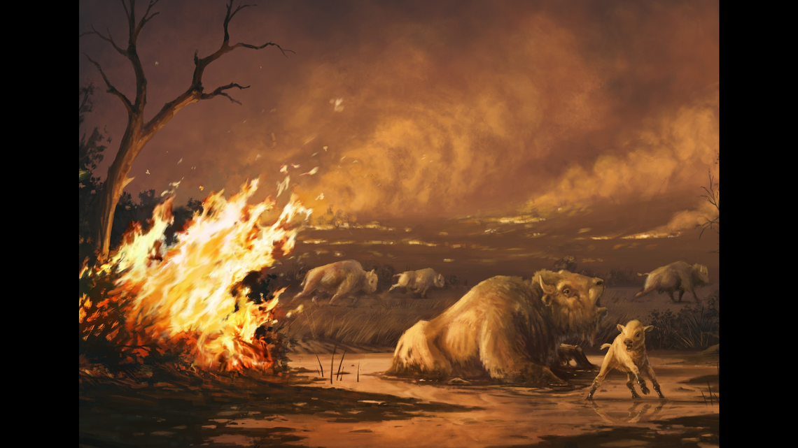 Featured image for Ancient Megafauna Extinction Linked to Human-Induced Fires in California