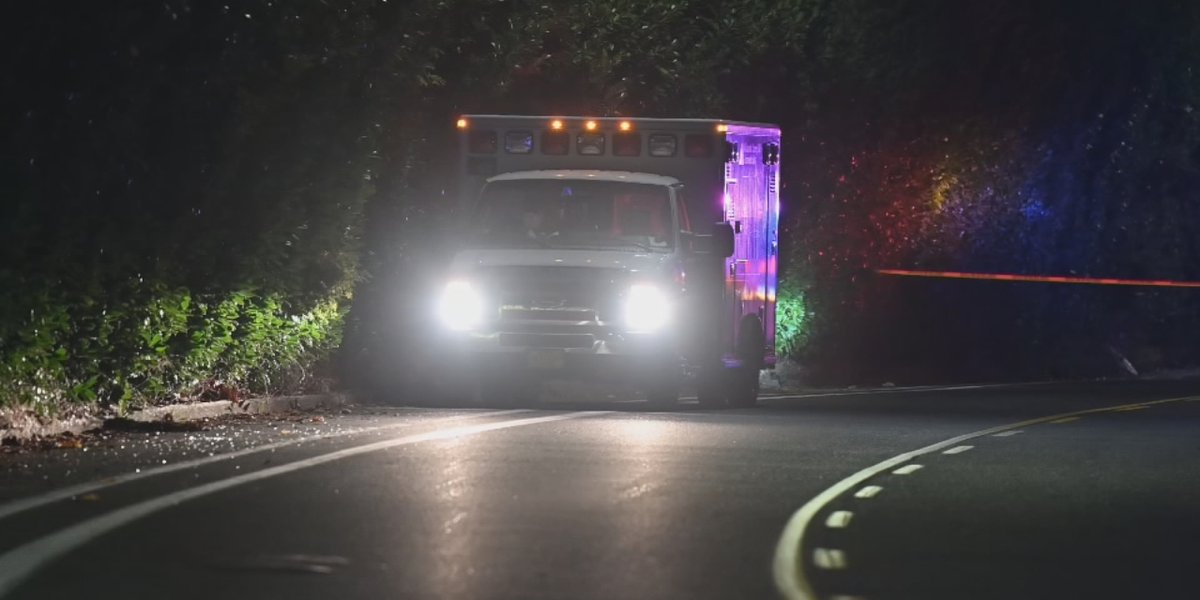 Police Hunt for Suspect in Fatal NE Portland Shooting