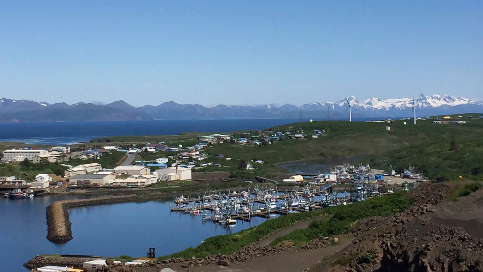 Alaskan Island Shaken by 7.3 Magnitude Earthquake, Tsunami Warning Issued