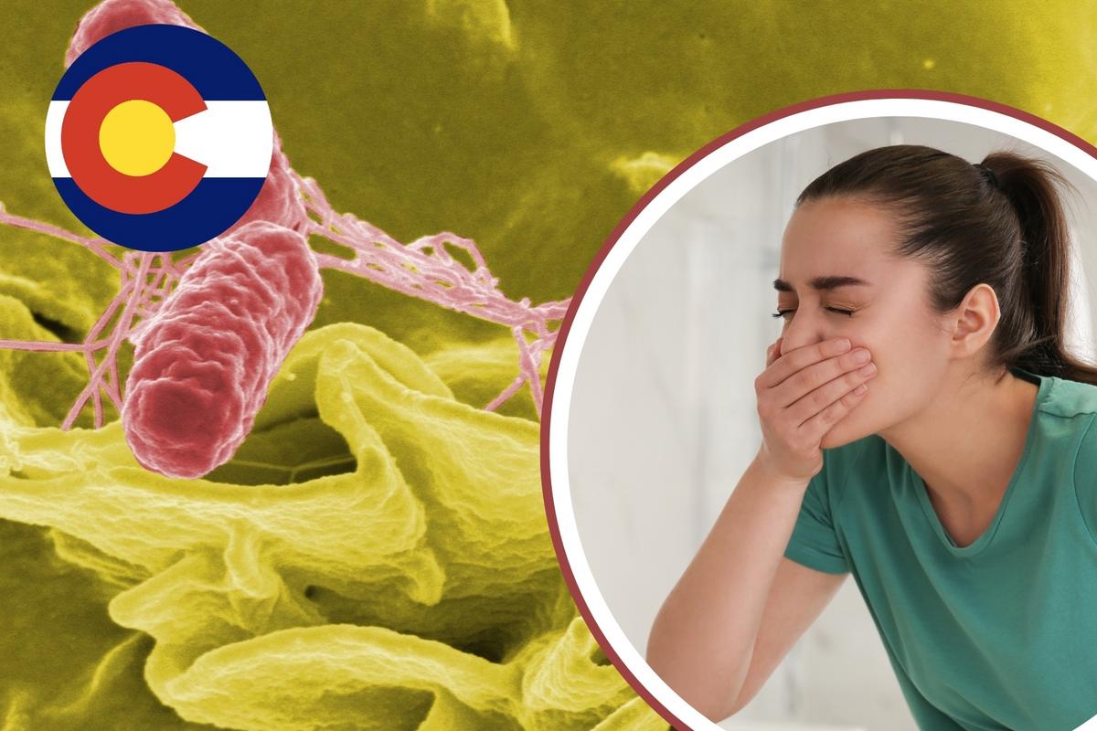 "Salmonella Outbreak Linked to Backyard Poultry Sickens Dozens"