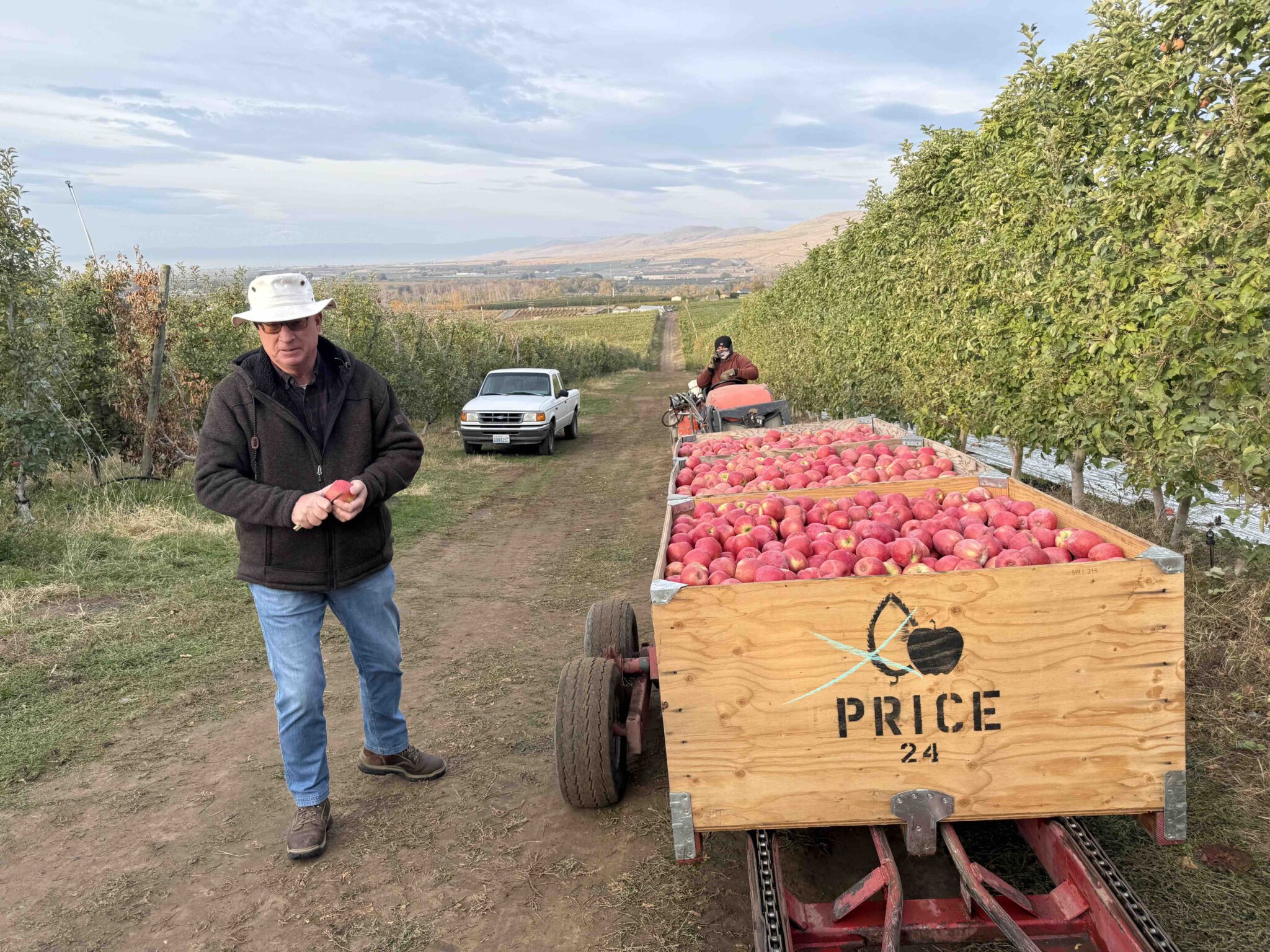 Featured image for Immigration Crackdown Sparks Fear in Washington Orchards
