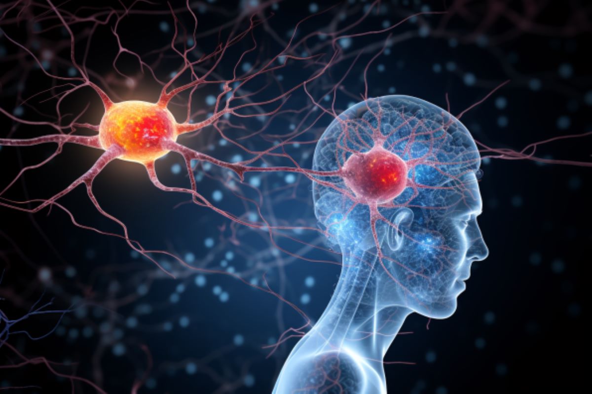 Sex Differences in Microglial Changes and Aging in the Brain