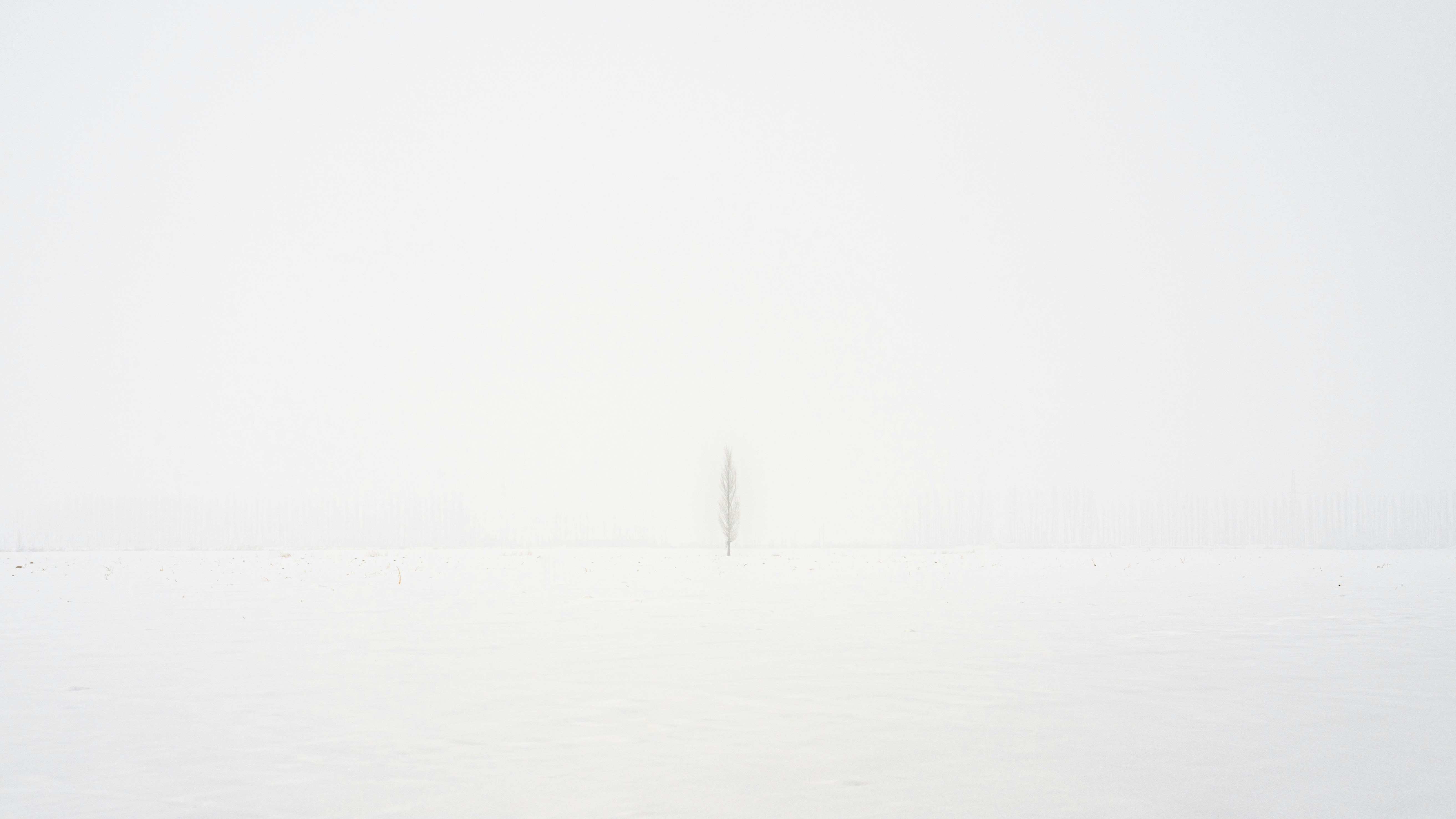 Featured image for "The Challenge of Generating Simple White Images with AI"