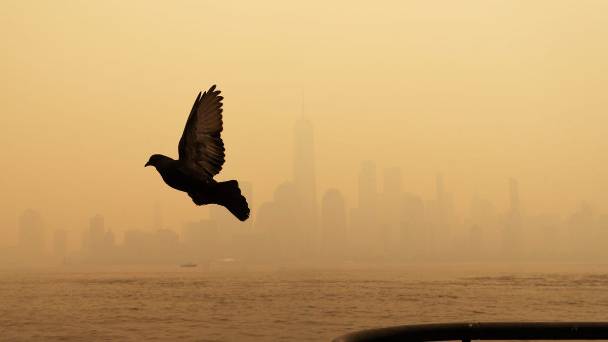 "Canadian Wildfires Highlight Urgent Need for Climate Action and Planning"