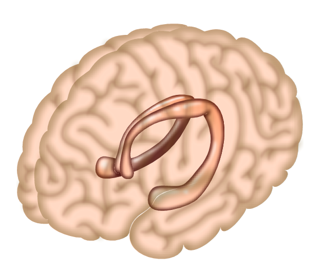 Electrically Stimulating the Brain During Sleep Enhances Memory Retention