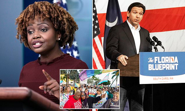 "Florida's 'Don't Say Gay' Law Sparks Controversy and Accusations of Cancel Culture"