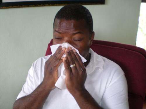 Featured image for Respiratory Illnesses Surge, Straining Kingston Hospital and Prompting Public Health Warning