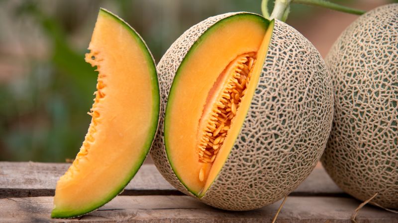 Featured image for Salmonella Outbreak Linked to Cantaloupes Claims Lives in US and Canada