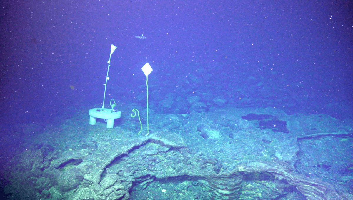 Featured image for Pacific Northwest Underwater Volcano Nears Eruption, Livestream Scheduled