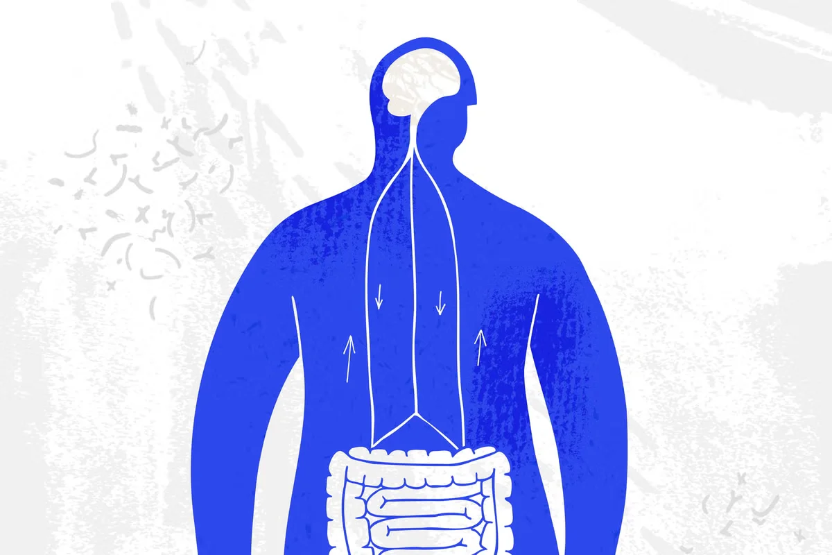 Vagus nerve boom: can brain–body signaling actually curb inflammation?