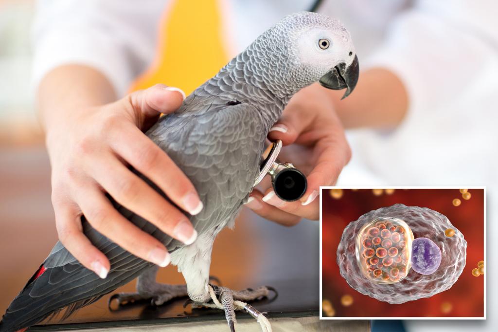 Featured image for "Deadly 'Parrot Fever' Outbreak Claims 5 Lives in Europe"
