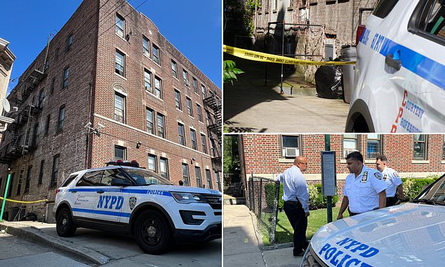 Tragic Fall Claims Life of 4-Year-Old Boy in NYC Apartment