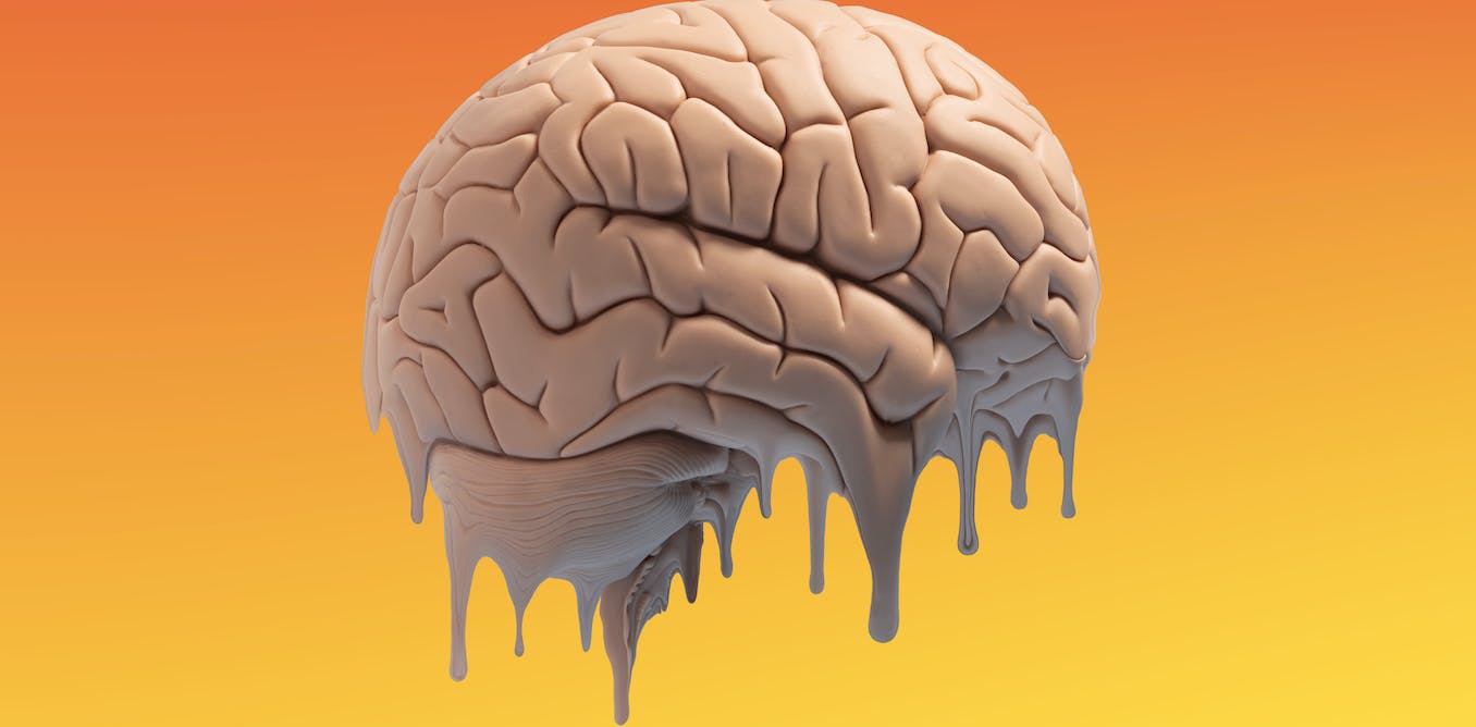 The Impact of Climate Change on Animal Brains and Behavior: Insights from a Neuroscientist