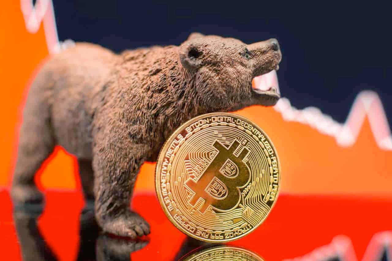 Featured image for Bitcoin's Future: Correction Ahead or Larger than Gold?