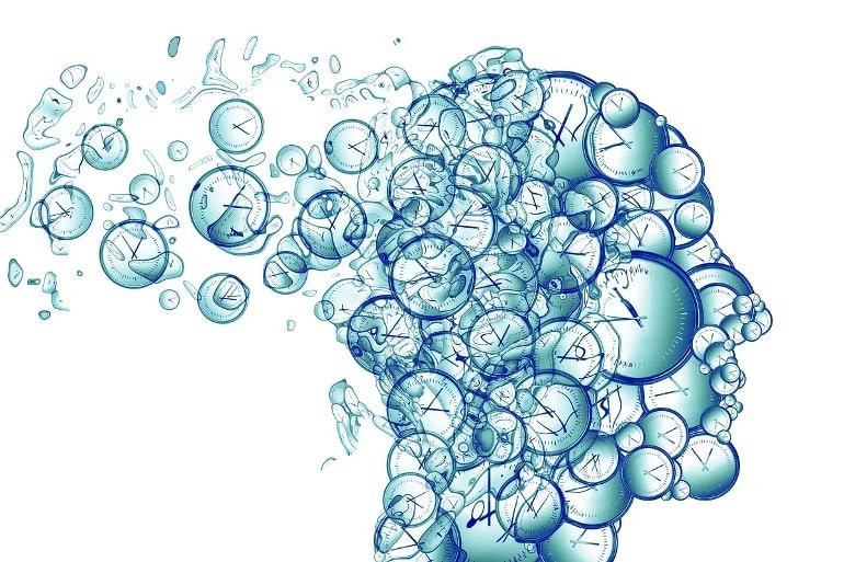 Cracking the Code: Deciphering the Brain's Master Clock.